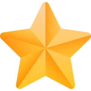 Google Reviews